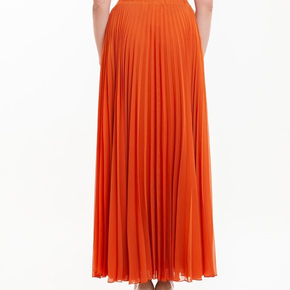 MAXI PLEATED SKIRT - Picture 3 of 3